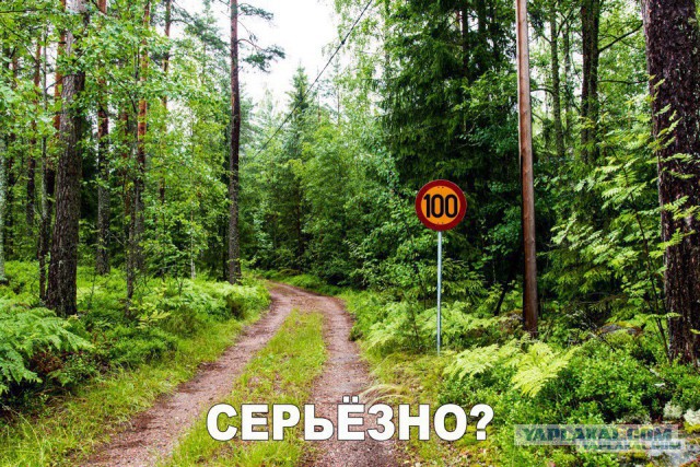 Журнал деградант