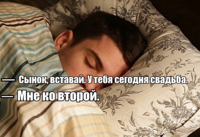Весёлые картинки