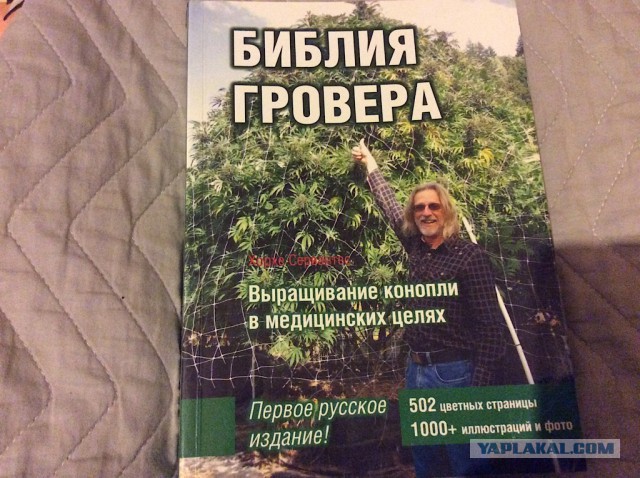 Гроубокс из палок