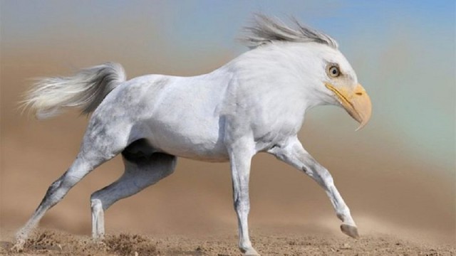 Фантастические животные