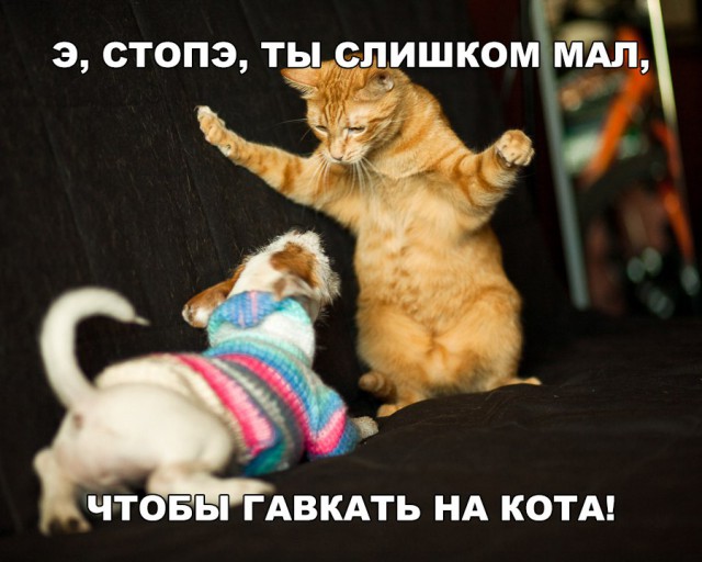 Нестандартный юмор