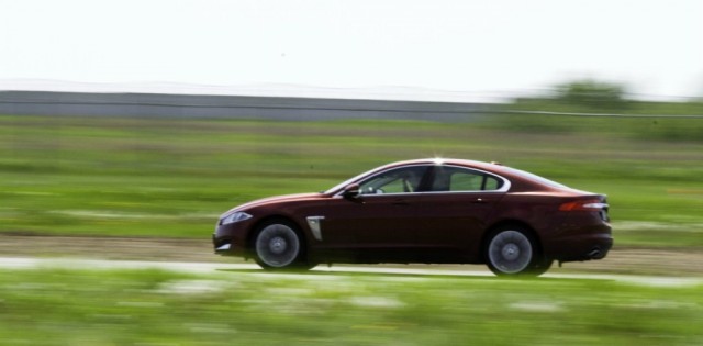 Бойцовский клуб Jaguar открыл сезон