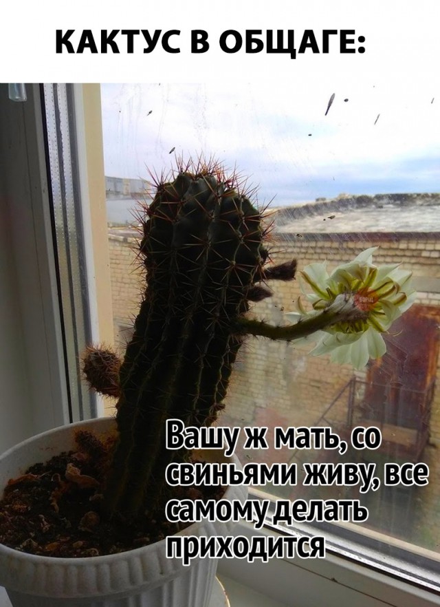 Немного картинок на сегодня