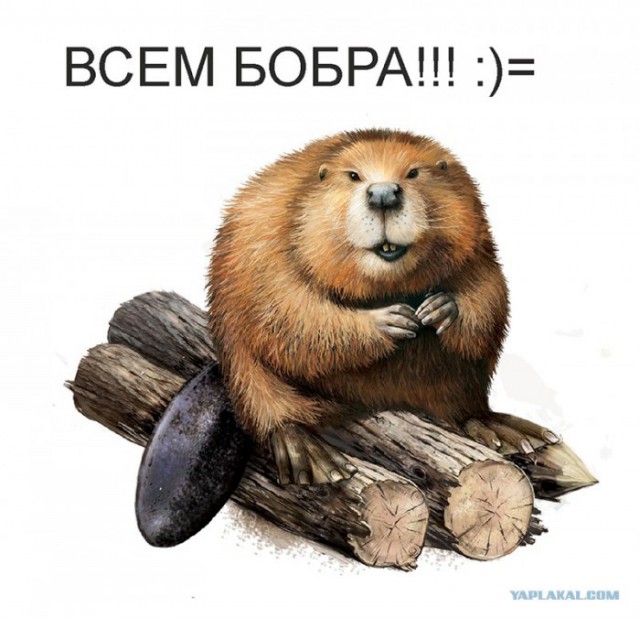 Происхождение интернет мемов которые мы все так любим