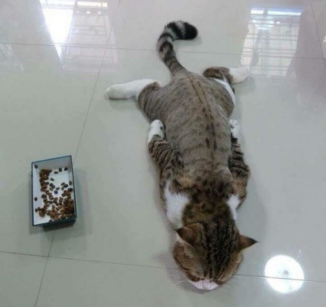 Немного милоты