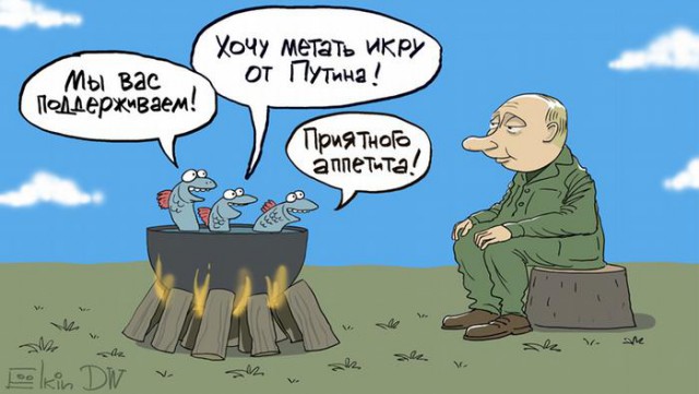 «Не надо революций, просто уберите Медведева»: к Путину обратился вернувший надбавку к пенсии ветеран труда