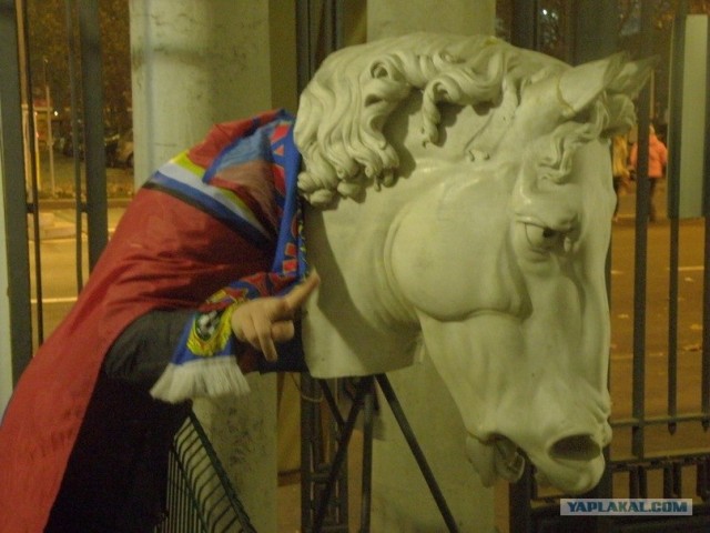 Обычная собака