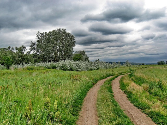Красота сельских дорог