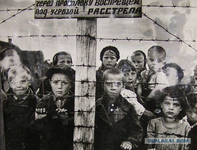 Зимняя война: в 1939 году финны получили от СССР ровно то, что заслуживали
