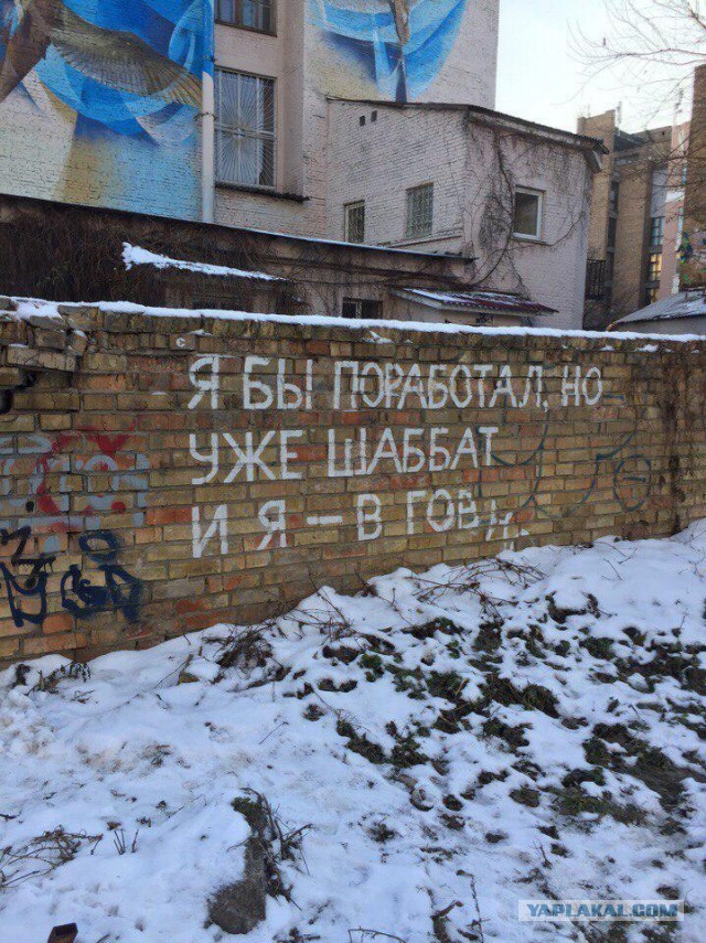 Потерянный рай: как дауншифтеры возвращаются в Россию и строят карьеру с нуля