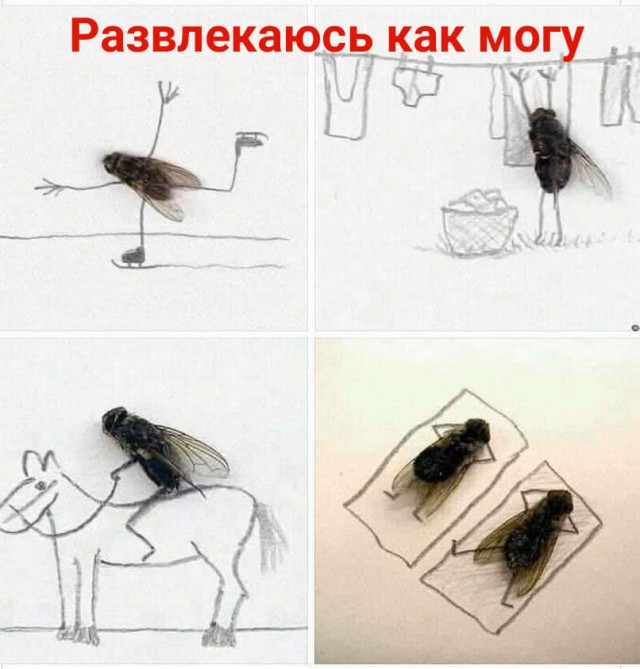 Бредзона 05.04.20