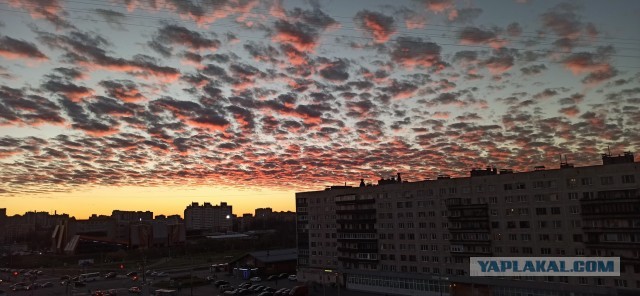"Горящее небо" - необыкновенный закат в Санкт-Петербурге