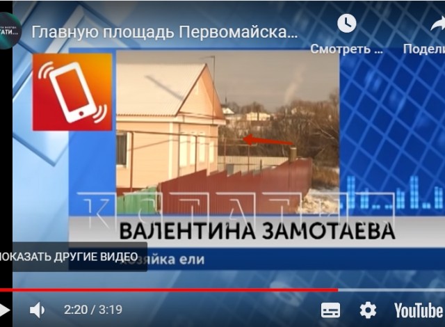 Главную площадь города власти украсили ворованной елью