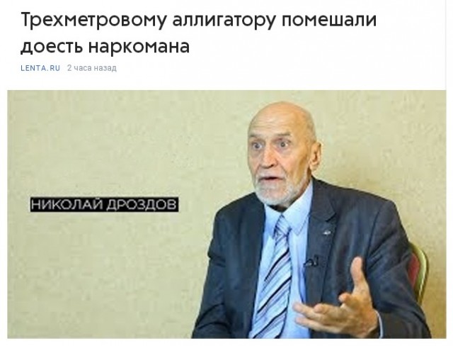Весёлый полтишок 14.02