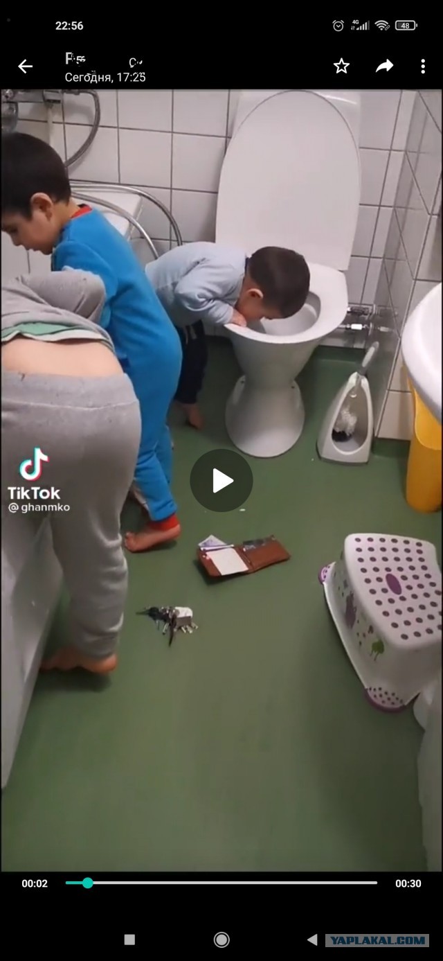 Маленькие помощники растут