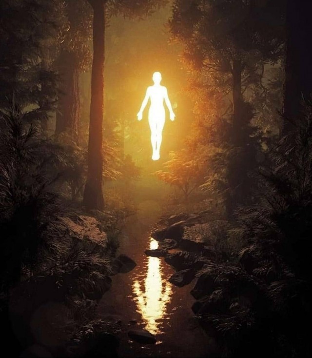 Crazy Art "Психоделика"