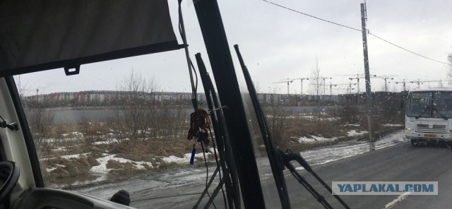 Легендарное Мурино - каменные джунгли под Питером. К чему приводит непомерная жадность застройщиков
