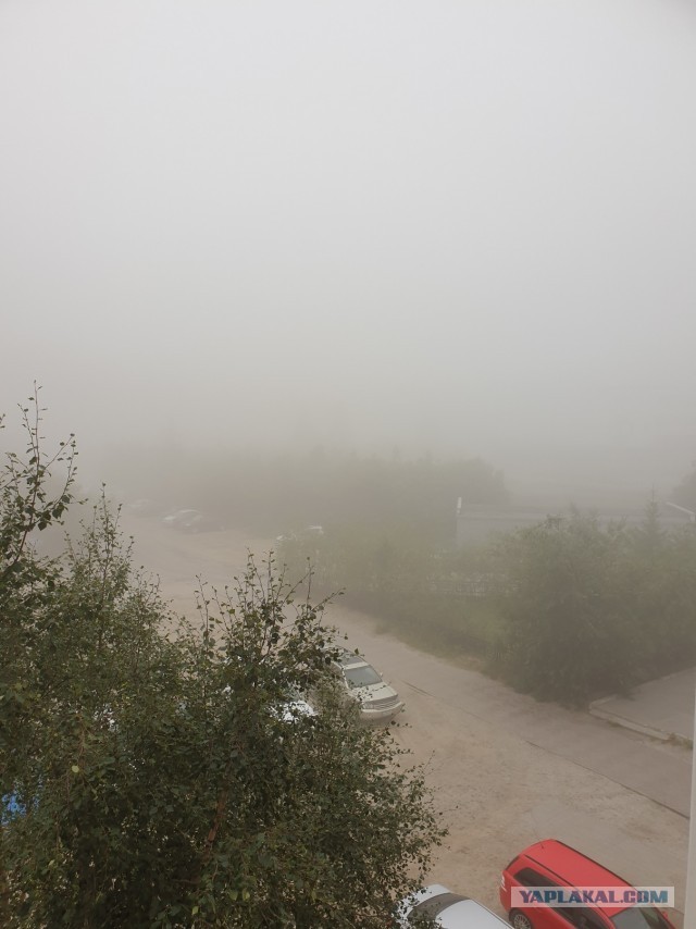 Дуванула