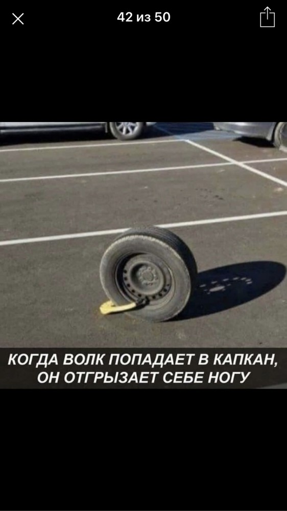 Так себе картинки 13.11.21