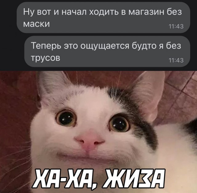 Картинки и мемы для настроения 31.03.2022
