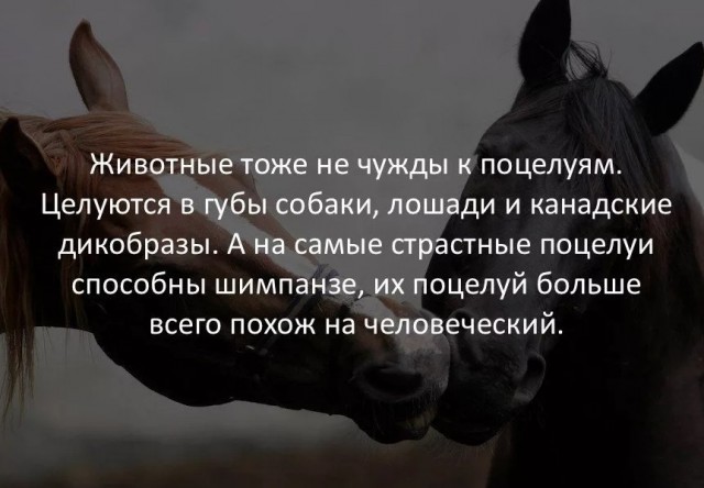70 удивительных фактов