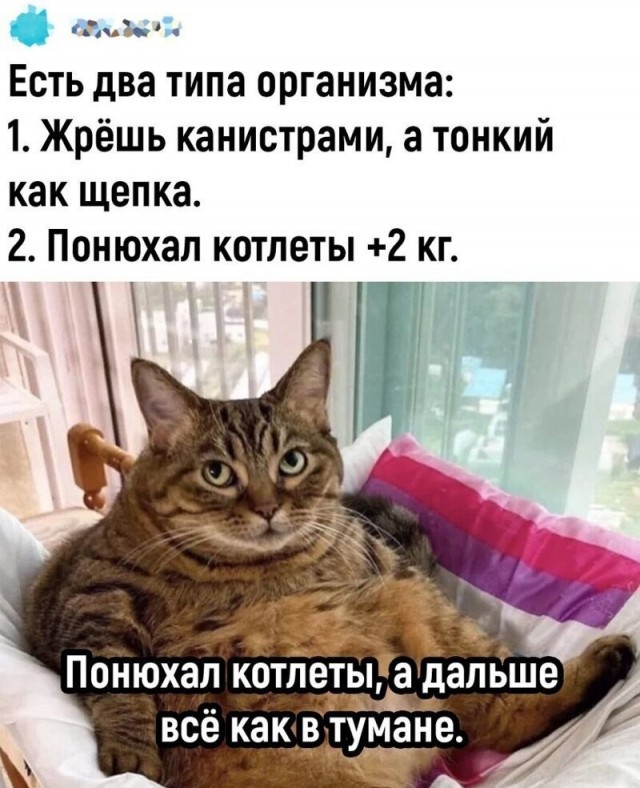 Комментарии и картинки из соцсетей