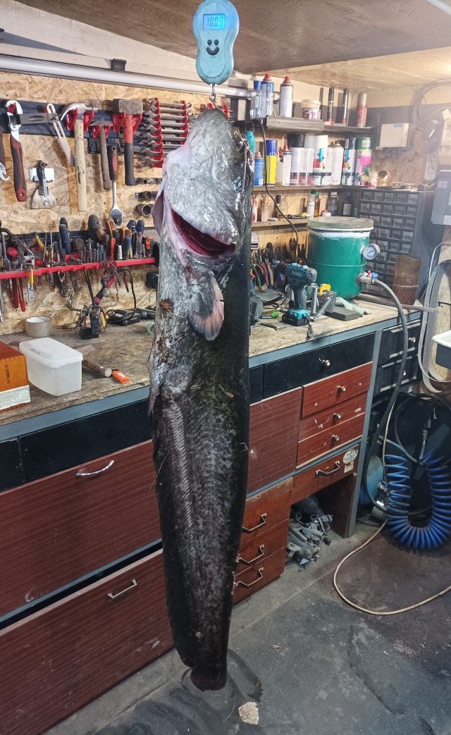 Охота удалась