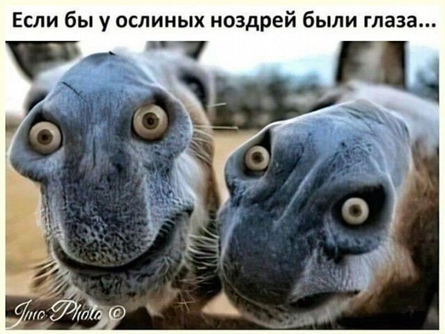 19 важных, нужных и познавательных шпаргалок, которые могут пригодиться в жизни