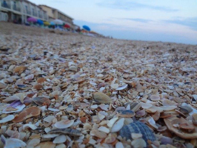 Впервые в Крыму