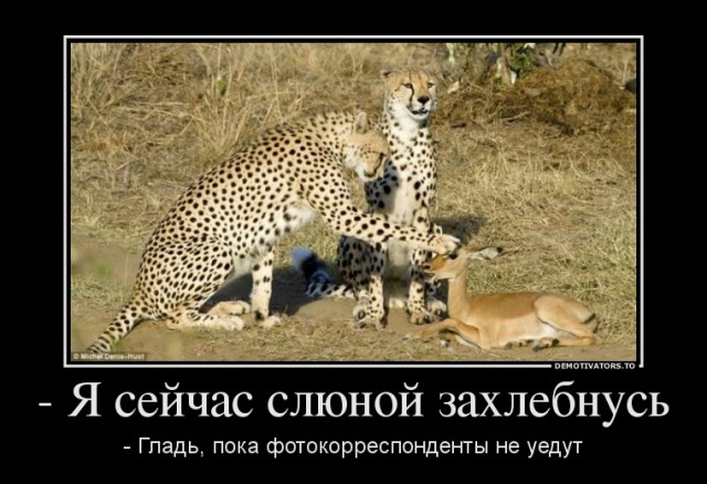 Так себе картинки 10.10.22