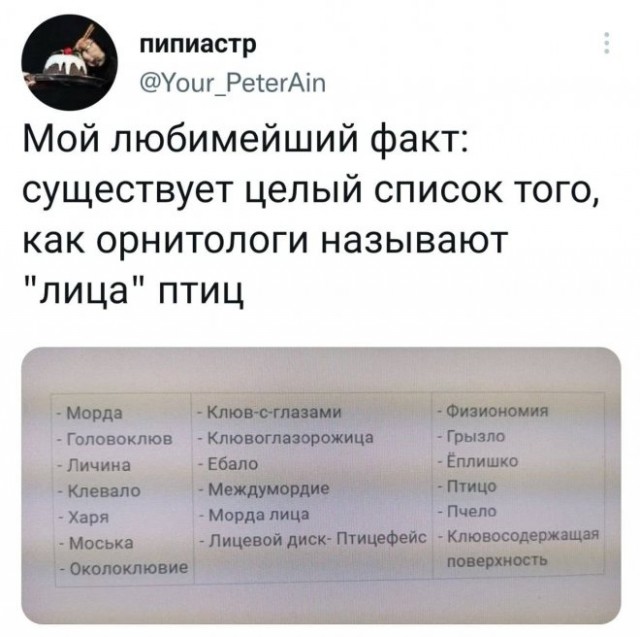 Немного картинок для настроения - 137