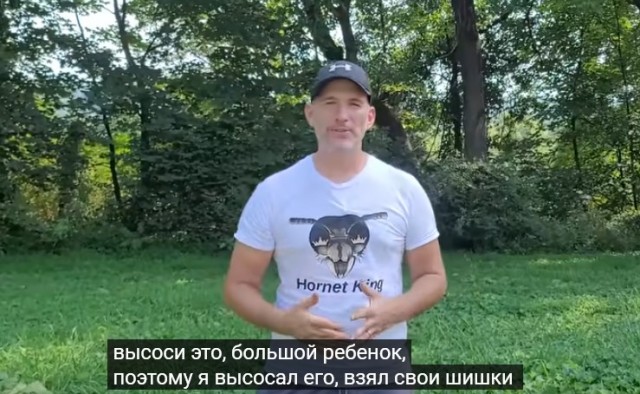 Пылесосит