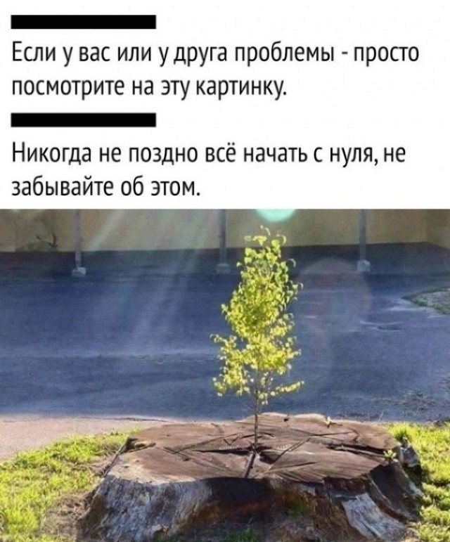 Весёлый полтишок 30.04.23