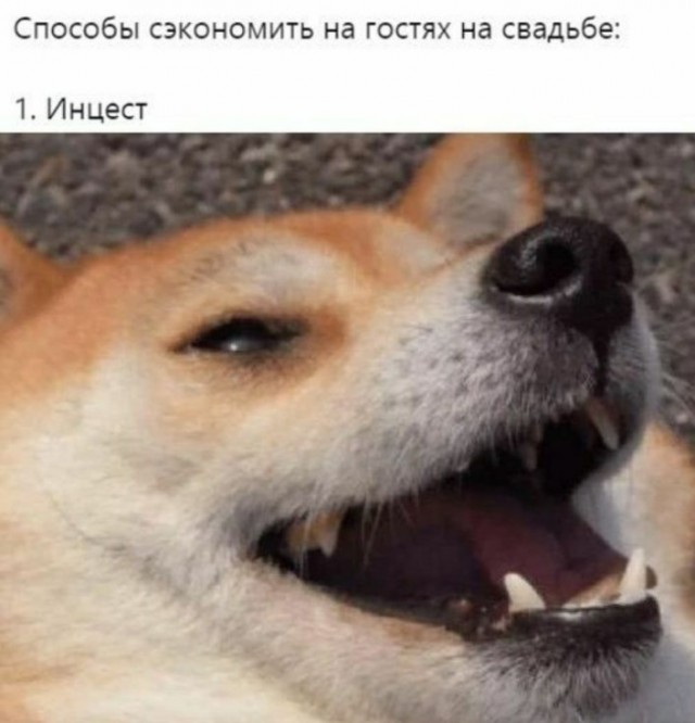 Всего понемногу. От 03.08.23