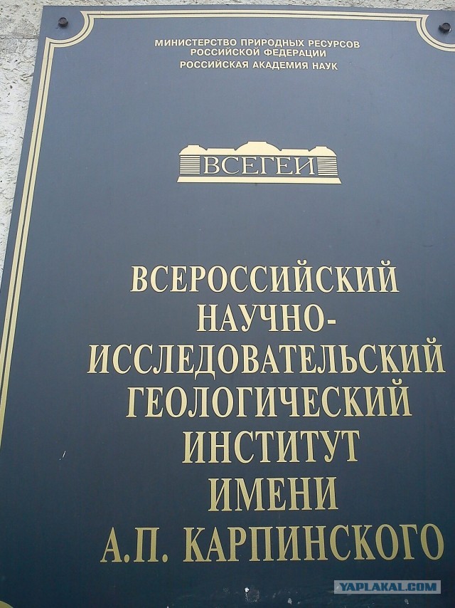Верховный суд РФ признал экстремистским «международное общественное движение ЛГБТ»