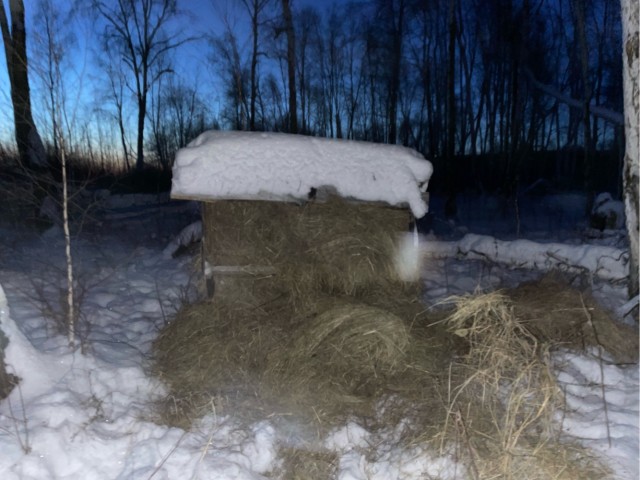 Сибирь-Тайга, -30 тепло...