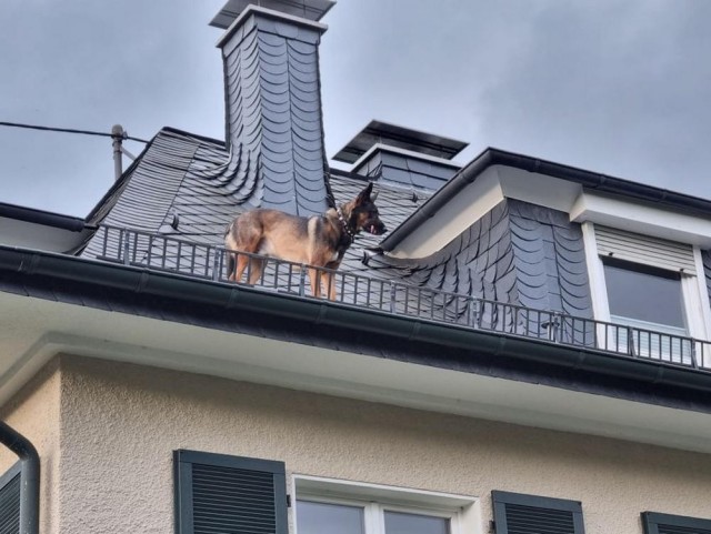 ФотоВинегрет