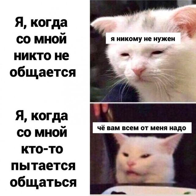 Веселые картинки (02.07)