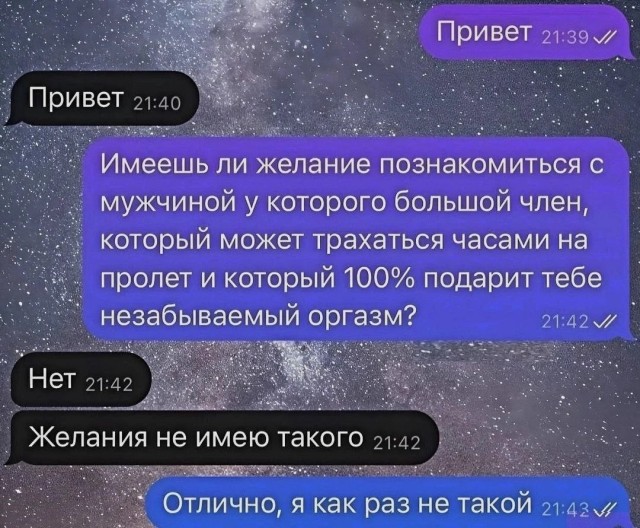 Весёлый полтишок 19.09.24