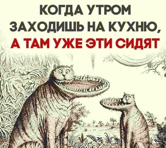 Завалялось тут случайно немного забавных картинок