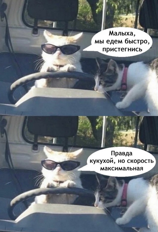 Завалялось тут случайно немного забавных картинок