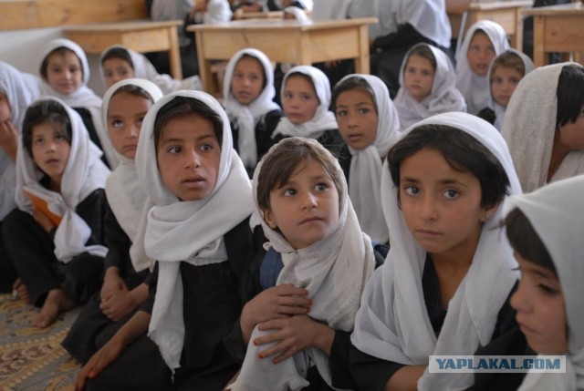 Суд талибов* отменил десятки тысяч разводов, которых добились несовершеннолетние невесты.