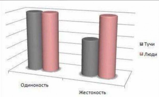 Так себе картинки 11.01.25