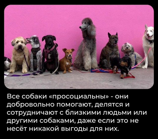 Всячина