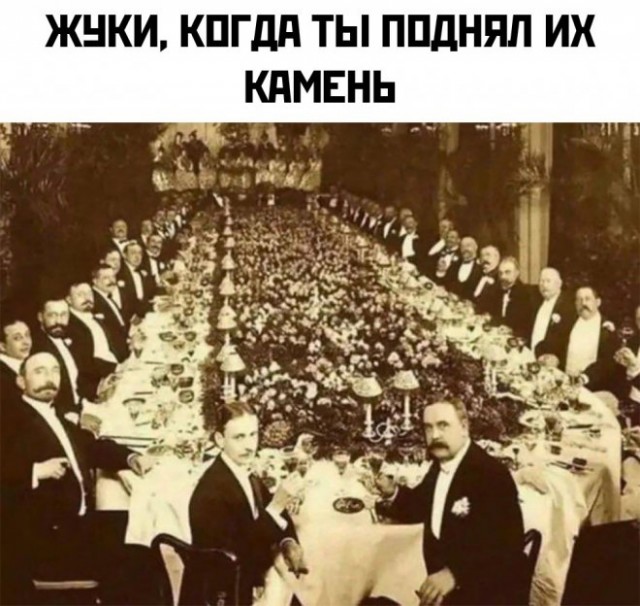 Веселые картинки в пятницу (28.03)