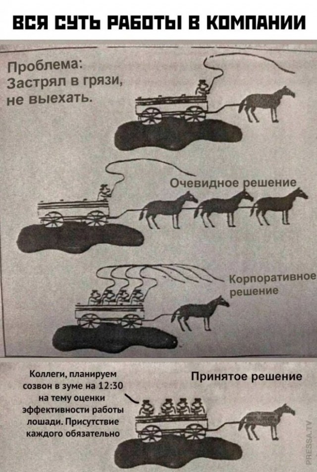 Веселые картинки в последний день марта (31.03)