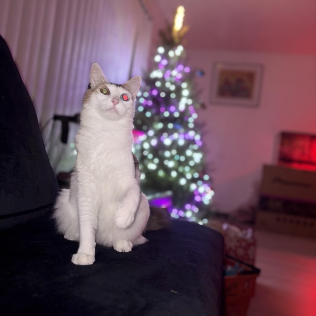 Посмотрите, кого я нашёл на улице