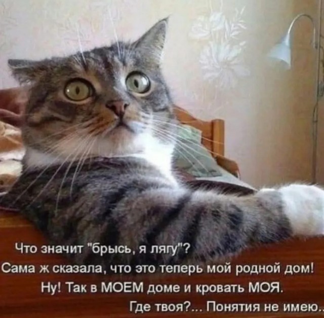 Завалялось тут случайно немного забавных картинок