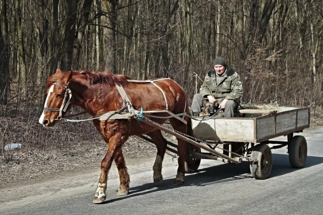 С 1 мая автомобили в России резко взлетят в цене на 25% из-за ужесточения правил расчёта утильсбора