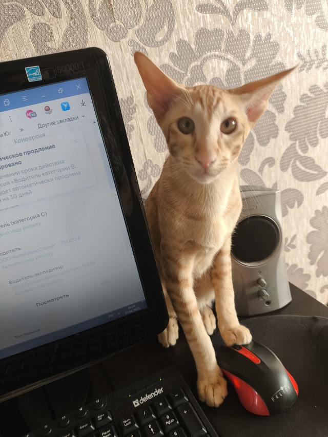 Косоглазый Смайлик